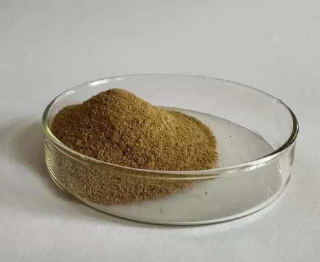 Protease in Saliva Inspired Formulations for Stain Removal Aids